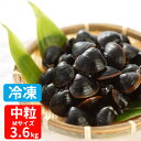 中粒 冷凍 送料無料 砂抜き済み 宍道湖産 Mサイズ 3.6kg(900g×4) 漁師直送 島根県 シジミ 味噌汁 用 蜆 汁 お吸い物 ヤマトシジミ 贈答 贈...