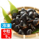 中粒 冷凍 送料無料 砂抜き済み 宍道湖産 Mサイズ 9kg 漁師直送 島根県 シジミ 味噌汁 用 蜆 汁 お吸い物 ヤマトシジミ 贈答 贈り物 国産 天然 ギ...