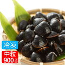 中粒 冷凍 送料別 砂抜き済み 宍道湖産 Mサイズ 900g 漁師直送 島根県 シジミ 味噌汁 用 蜆 汁 お吸い物 ヤマトシジミ 贈答 贈り物 国産 天然 ギ...
