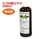 6ケ月以上熟成 無農薬ビワの葉エキス(無洗葉) 500ml 【枇杷葉(びわ葉)エキス】【ビワエキス】