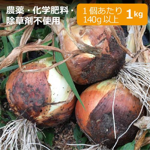 農薬・化学肥料・除草剤不使用　玉ねぎ 1kg ※玉ねぎのサイズは1個当たり140g以上混合【健康サポート農園】