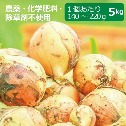 農薬・化学肥料・除草剤不使用 玉ねぎ 5kg ※玉ねぎのサイズは1個当たり140g〜220g ※送料無料(一部地域を除く) 【健康サポート農園】 農薬・化学肥料・除草剤不使用 玉ねぎ 5kg ※玉ねぎのサイズは1個当たり140g〜220g ※送料無料(一部地域を除く) 【健康サポート農園】