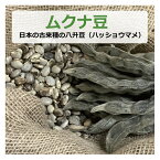 ムクナ豆 （日本の古来種の八升豆） 100g （ハッショウマメ） 【ゆうパケット対応】 【健康サポート農園】無農薬・無化学肥料・無除草剤 自社農園 大阪産 ムクナ Mucuna 八升豆 むくな豆 ドーパミン Lドーパ l-dopa レボドパ 国産