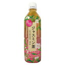 有機ジャスミン茶（ペットボトル） 500ml 【海東ブラザーズ】※荷物総重量20kg以上で別途料金必要