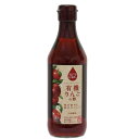 フルーツビネガー 有機りんごの酢 360ml【内堀醸造】