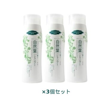 グリーンノート自然葉シャンプー300ml（ノンシリコン無添加）×3本セット