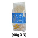 玄米ビーフン(3袋パック)40g×3【グルテンフリー】