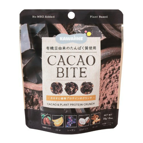 CACAO BITE カカオと植物プロテインのクランチ （30g） 【東京バル】