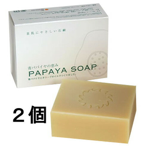 青パパイヤの恵みパパイヤソープ100g×2個セット
