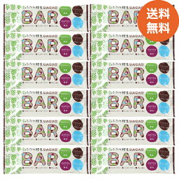 青パパイヤ酵素入り CACAO BAR 40g×12個 【ゆうパケット送料無料】【三旺インターナショナル】