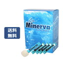 ミネルバ 青パパイヤ発酵食品(3g×30包)+2包増量 ※送料無料(一部地域を除く)【アイ・オー・エヌ】