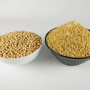 有機栽培 手作り味噌セット 甘口 約7kg 玄米麹タイプ【マルカワみそ】＋エンバランスフードコンテナ（6L）付 ※送料無料（一部地域を除く）※キャンセル不可