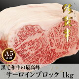 【送料無料】佐賀牛 A5 サーロイン ブロック 1kg　ブランド和牛 ギフト 贈り物 プレゼント 特大 ボリューム イベント ステーキ ローストビーフ 焼肉 BBQ しゃぶしゃぶ すき焼き