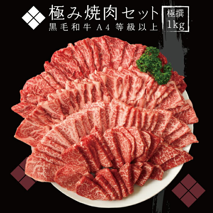 【送料無料】A4等級以上 極撰黒毛和牛 極み焼肉セット 1kg(500g×2) バーベキューセット 食べ比べ お祝い 贈り物 お歳暮 ギフト