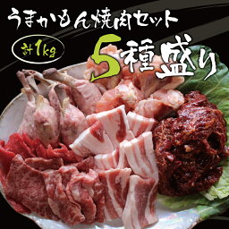 【送料無料】うまかもん焼肉セット5種盛り 1kg (国産和牛/手羽元/サガリ/ソーセージ/豚バラ) 3〜4人前 BBQ バーベキュー