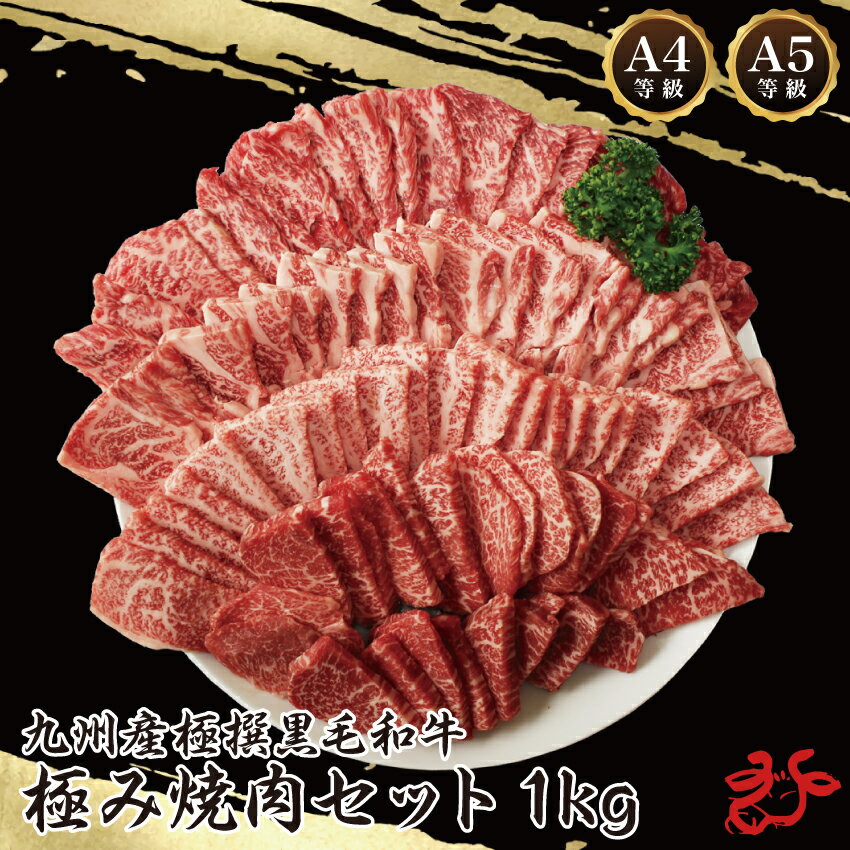 【送料無料】A4等級以上 極撰黒毛和牛 極み焼肉セット 1kg(500g×2) 牛脂付き バーベキューセット 焼肉セット セット BBQ 食べ比べ お肉 肉 牛...