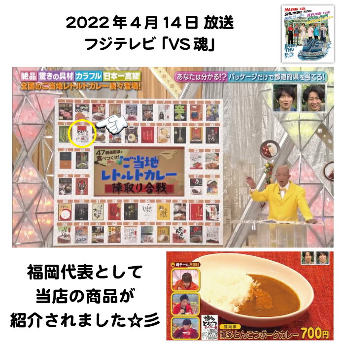 【送料無料】さつま屋オリジナル 博多とんこつカレー ＜選べる2個セット＞ お手軽 お試し ビーフ ポーク チキン 2