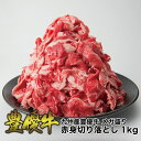 九州産 豊優牛 メガ盛り赤身切り落とし1kg (200g×5P) オリジナルブランド牛 ほうゆうぎゅう