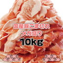 【送料無料】国産豚 こま切れメガ盛り 10kg (1kg×10P) 徳用 業務用 切り落とし 九州産【※他商品との同梱注意】 2