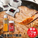 博多鉄なべ餃子120個調味料セット 餃子120個 博多うまポン300ml 博多うま柚子赤60g 餃子 鉄なべ ぎょうざ ギョウザ 鉄なべ餃子 鉄鍋餃子 博多餃子...