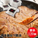 博多鉄なべ餃子120個 餃子 鉄なべ ぎょうざ ギョウザ 鉄なべ餃子 鉄鍋餃子 博多餃子 ひと口餃子 ギフト 贈り物 焼き餃子 冷凍餃子 おかず 冷凍 中華総菜...