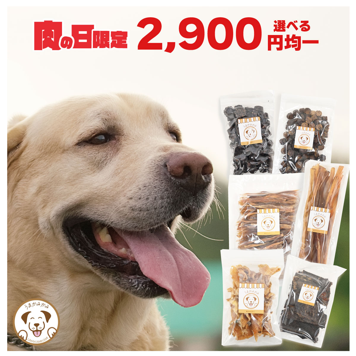 【2,900円均一】 選べる 犬 おやつ 無添加 まとめ買い 犬用 馬肉 犬のおやつ 国産 オヤツ うちの子 記念日 誕生日 ギフト 詰め合わせ 贈り物 母の日 グルテンフリー 低アレルゲン トレーニング トリーツ ドッグフード 小型犬 中型犬 【期間限定販売】 うまかみかみ