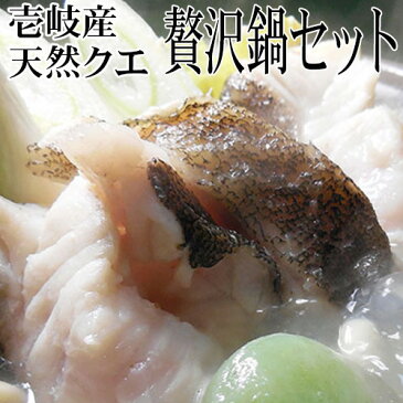 【AA】壱岐産 天然 クエ 壱岐のたから クエ鍋セット 2〜3人前 500g 贅沢 鍋 くえ 鍋 送料込 モロコ アラ ちゃんこ 鍋 ギフト プレゼント お歳暮 年末 年始 宴会 パーティー 忘年会 新年会 記念日 誕生日 おもてなし 贈答 内祝い