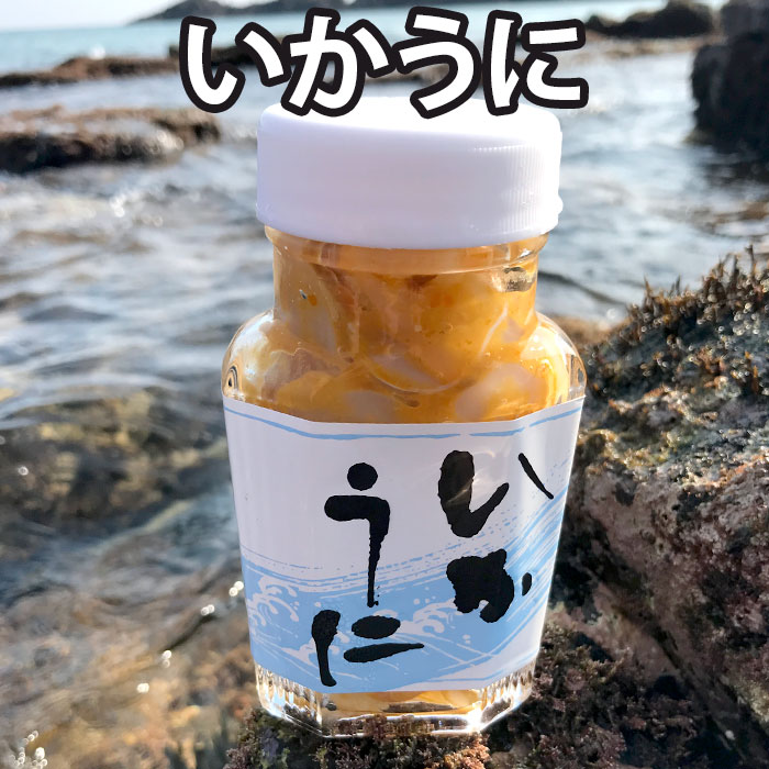 【D】本尾海産 いかうに 110g 雲丹 い