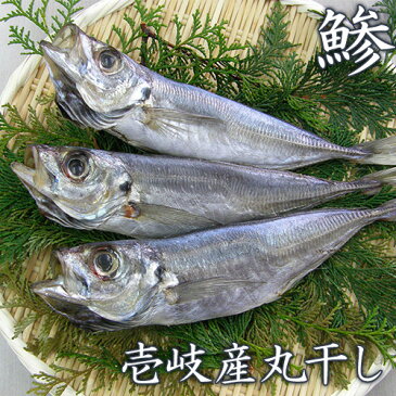 【B】アジの丸干し 3枚 【手造り 無添加 壱岐 干物】鯵 あじ 干物 長崎県産 壱岐島 九州 おかず 惣菜 ごはんの友 冷凍 肴 魚 国産 職人 手作り