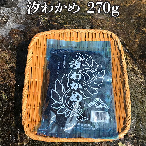 【D】本尾海産 長崎産 汐わかめ 270g 添加物不使用 壱岐島名産 塩蔵わかめ ワカメ サラダやスープ 味噌汁 酢の物 鍋 麺類のトッピングに（D商品と同梱可）