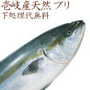 【H】壱岐産天然ブリ(ワラサ)　4kg～8kg 九州 玄界灘 壱岐 島 天然 鰤 まるごと 丸物 丸魚 下処理代無料 三枚おろし 宴会 パーティー 誕生日 記念日 刺身 焼物 鍋 煮つけ 鰤しゃぶ しゃぶしゃぶ 【年末年始お届け不可】水揚げ次第発送