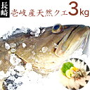 【H】壱岐 長崎産 天然くえ 3キロ 鮮魚 アラ クエ 【1/9 20：00〜1/16 1：59　期間限定ポイント5倍】モロコ 九絵 垢穢 一本釣り 本クエ 送料込 まるごと 丸物 丸もの 丸魚 下処理代 無料 三枚おろし 3枚おろし 宴会 パーティー コース 料理 高級 接待 忘年会 新年会