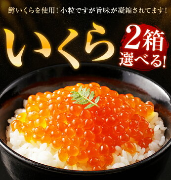 いくら 選べる2箱 600g 鱒 送料無料 醤油漬け 辛子漬け サーモン トラウト イクラ 丼 イクラ 軍艦 手巻き寿司 ちらし寿司 博多 福岡 お土産 お返し ギフト 海鮮 魚介類 食品 プレゼント 結婚祝い 出産祝い おつまみ 食べ放題 見舞 お中元 御中元