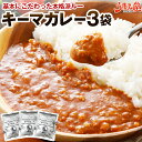 キーマカレー 辛口 180g×3パック 送料無料 レトルト食品 国産 豚肉 カレー ご飯 のお供に 牛肉 常温保存OK 非常食にも おつまみ おかず 日持ち 常温 ポイント消化 メール便