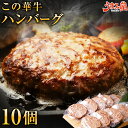 ハンバーグ 100g×10個 冷凍 1kg この華牛 ギフト 牛肉 ステーキ肉 お肉 セット 宮崎県産 国産 送料無料 レトルト 有田牧場 贈り物 お取り寄せ 高級 グルメ 土産 特産品 宮崎 贈答用 感謝 ありがとう 内祝 御祝 お返し お取り寄せグルメ 冷凍食品 [産直]