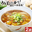 うどんに合うカレー 170g×2袋 送料無料 レトルトカレー キーマカレー デミグラス パン 惣菜 セット 詰め合わせ 常温保存OK 非常食にも 手土産 ギフト プレゼント 旨さには訳あり 