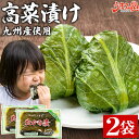 高菜漬け 250g×2袋 九州産 送料無料 高菜 漬け物 鹿児島県 博多 福岡名物 辛子高菜 油炒め にも 国産 めはり寿司 ご飯のお供 漬物 たかな お取り寄せ おつまみ お土産 ふじさき漬物舗 業務用 料理 プレゼント ギフト ポイント消化 [メール便]