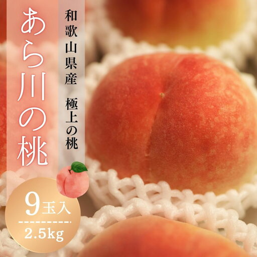 和歌山県産 あら川の桃 9玉入り 化粧箱 3Lサイズ 2.5kg相当 秀品 光センサー使用 あかつき 白鳳 川中島 白桃 もも モモ 果物 贈り物 自分用 家庭用 旬 フルーツ プレゼント お中元 御中元 夏ギフト 旬 特選 厳選 濃厚 高品質 期間限定 フルーツギフト 送料無料 贈答用 和歌山県産 あら川の桃 9玉入り 化粧箱 3Lサイズ 2.5kg相当 秀品 光センサー使用 あかつき 白鳳 川中島 白桃 もも モモ 果物 贈り物 自分用 家庭用 旬 フルーツ プレゼント お中元 御中元 夏ギフト 旬 特選 厳選 濃厚 高品質 期間限定 フルーツギフト 送料無料 贈答用