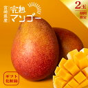 完熟マンゴー 宮崎県産 2L 350g 2玉 宮崎マンゴー みやざき 完熟 まんごー 旬 1箱 1ケース 箱 期間限定 数量限定 限定 宮崎 宮崎産 農家 果物 フルーツ 家庭用 贈答用 ギフト プレゼント お中元 高級 高糖度 濃厚 甘い 美味しい 人気 おすすめ 送料無料
