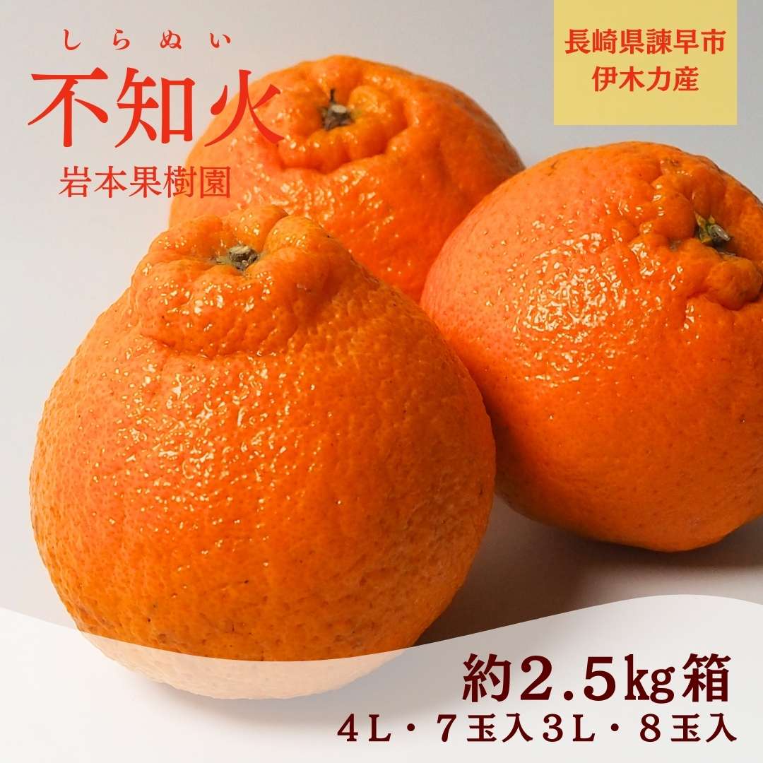 不知火 2.5kg 7~8玉 長崎県産 岩本果樹園 不知火 2.5kg 7~8玉 1箱 箱 岩本 しらぬい シラヌイ オリジナル 旬 期間限定 長崎 長崎産 農家 果物 フルーツ ご家庭用 贈答用 ギフト プレゼント 高級 ダイエット おやつ 健康 高糖度 甘い うまうまもぐもぐ