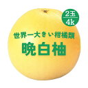 晩白柚 ばんぺいゆ ザボン ざぼん 熊本県産 2玉 4kg 高級 柑橘 世界最大 八代 やつしろ 特産品 専用箱 箱 果物 贈り物 プレゼント ご自宅用 旬 フルーツ 期間限定 お歳暮 柑橘 柑橘類 柑橘系 ギフト おすすめ 大きい 珍しい うまうまもぐもぐ