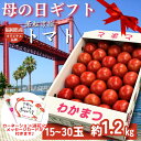 フルーツトマト　 若松濃縮トマト　福岡県産　 とまと 糖度9度以上　水切りトマト 15玉～30玉 1 ...