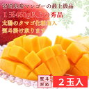 マンゴー 宮崎県産 完熟マンゴー 太陽のタマゴ 3L 450g以上×2玉 贈答用 マンゴ― お中元 お祝い くだもの