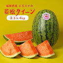 福岡県産 若松クイーン 小玉スイカ 4kg 2玉入り 期間限定 フルーツ 果物 大きい 珍しい 高級 ブランド 農家 産地直送 若松 福岡 すいか スイカ 西瓜...