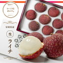 国産 生 ライチ 宮崎県産 大粒9玉〜12玉入り 約420g化粧箱 完熟 生ライチ 果物 フルーツ 高級 ギフト 贈り物 贈答用 プレゼント 甘い 美味しい 送...