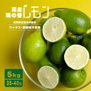 レモン 国産 璃の香レモン ノーワックス 防腐剤 防カビ剤 不使用 佐賀県産 2L〜M 35〜40玉 5kg 箱 檸檬 れもん 料理 業務用 自宅用 まとめ買い...