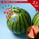 【母の日】小玉すいか 熊本県産 肥後てまり2玉 5kg 春口農園 小玉西瓜 1ケース 1箱 箱 ひごてまり スイカ すいか 旬 期間限定 限定 果物 フルーツ ...