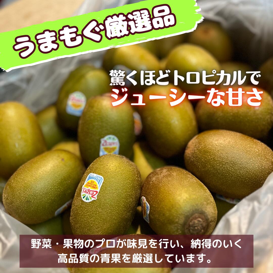 ゼスプリ サンゴールドキウイ 大玉 35玉～40玉入り 6kg相当 ニュージーランド産 Zespri キウイ ゴールドキウイ 美味しい 甘い うまい 有名 お得 大容量 箱 おやつ 珍しい サイズ 業務用 自宅用 贈答用 プレゼント ギフト 贈り物 お中元 おすすめ 人気 大人気 送料無料