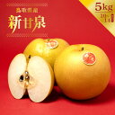 【エントリーでポイント10倍】新甘泉梨 鳥取県産 ブランド梨 10玉~14玉 約5kg相当 オリジナル品種 期間限定 数量限定 限定 珍しい 希少 甘い 高糖度 有名 しんかんせん 鳥取 とっとり 秀品 ギフト 果物 贈り物 敬老 贈答 プレゼント 自宅用 旬 フルーツ 梨 なし おすすめ