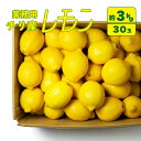 【エントリーでポイント10倍】【業務用】チリ産 レモン 30玉 約3kg相当( 中 / 140玉サイズ)厳選 綺麗 料理 業務用 自宅用 まとめ買い お得 大特...
